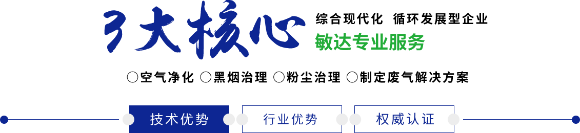 鸡巴插bb视频91敏达环保科技（嘉兴）有限公司